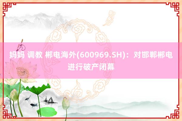 妈妈 调教 郴电海外(600969.SH)：对邯郸郴电进行破产闭幕