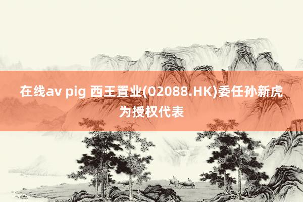 在线av pig 西王置业(02088.HK)委任孙新虎为授权代表
