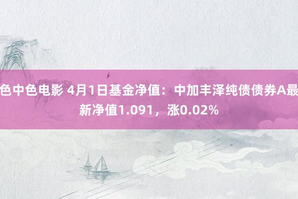 色中色电影 4月1日基金净值：中加丰泽纯债债券A最新净值1.091，涨0.02%