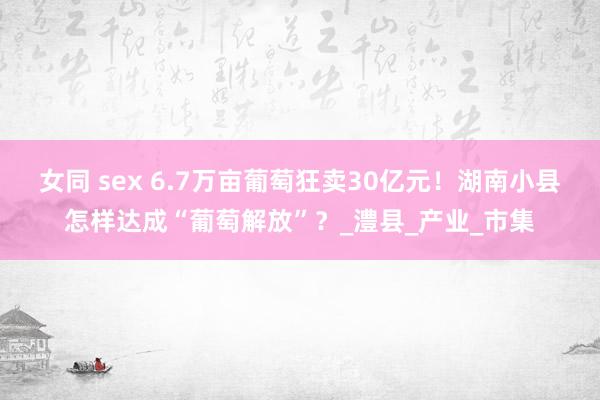 女同 sex 6.7万亩葡萄狂卖30亿元！湖南小县怎样达成“葡萄解放”？_澧县_产业_市集