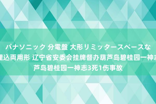 パナソニック 分電盤 大形リミッタースペースなし 露出・半埋込両用形 辽宁省安委会挂牌督办葫芦岛碧桂园一神志3死1伤事故