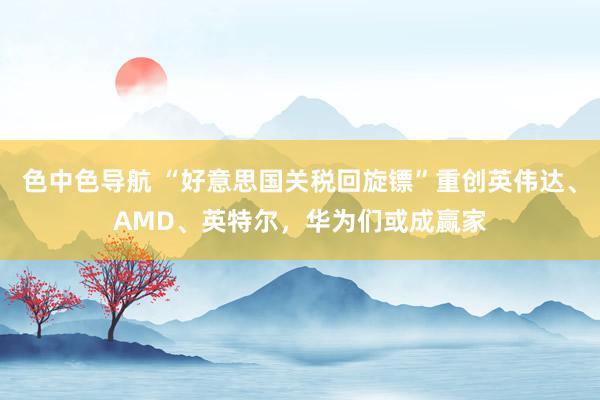 色中色导航 “好意思国关税回旋镖”重创英伟达、AMD、英特尔，华为们或成赢家