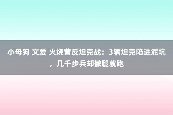 小母狗 文爱 火烧营反坦克战：3辆坦克陷进泥坑，几千步兵却撒腿就跑