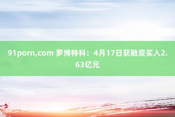 91porn，com 罗博特科：4月17日获融资买入2.63亿元