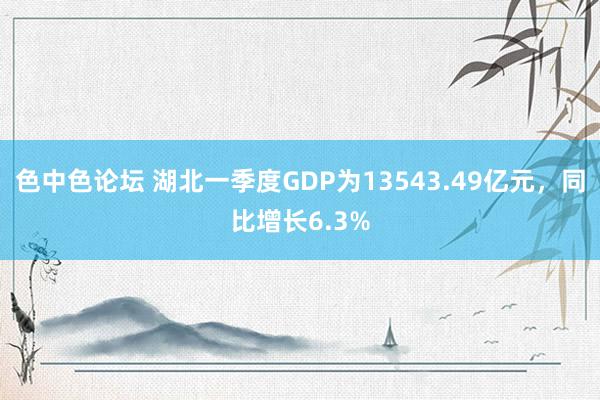色中色论坛 湖北一季度GDP为13543.49亿元，同比增长6.3%