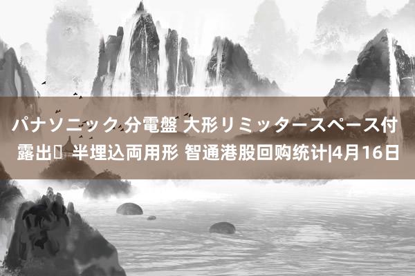 パナソニック 分電盤 大形リミッタースペース付 露出・半埋込両用形 智通港股回购统计|4月16日