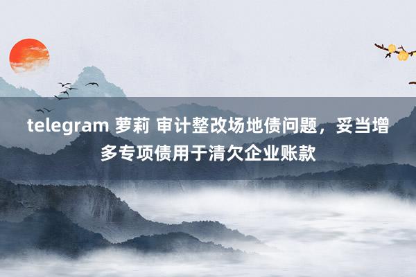 telegram 萝莉 审计整改场地债问题，妥当增多专项债用于清欠企业账款