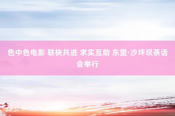 色中色电影 联袂共进 求实互助 东盟·沙坪坝茶话会举行