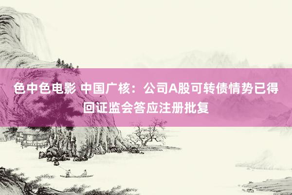 色中色电影 中国广核：公司A股可转债情势已得回证监会答应注册批复