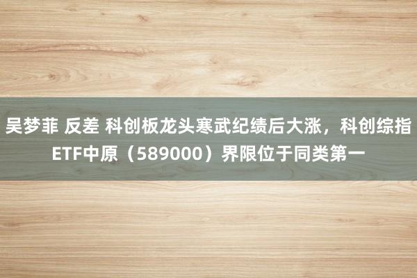 吴梦菲 反差 科创板龙头寒武纪绩后大涨，科创综指ETF中原（589000）界限位于同类第一