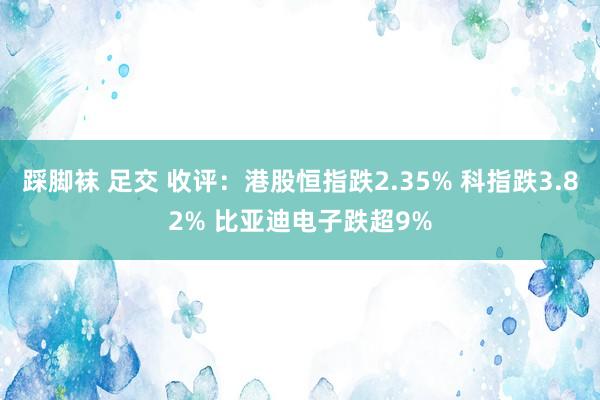 踩脚袜 足交 收评：港股恒指跌2.35% 科指跌3.82% 比亚迪电子跌超9%