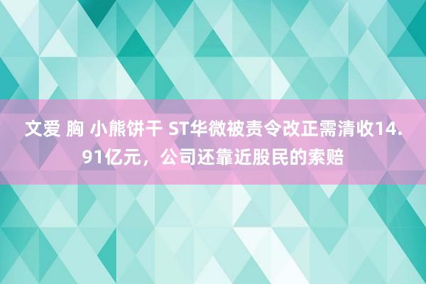 文爱 胸 小熊饼干 ST华微被责令改正需清收14.91亿元，公司还靠近股民的索赔