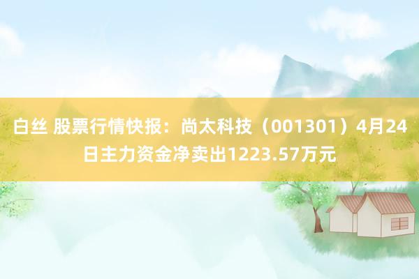 白丝 股票行情快报：尚太科技（001301）4月24日主力资金净卖出1223.57万元