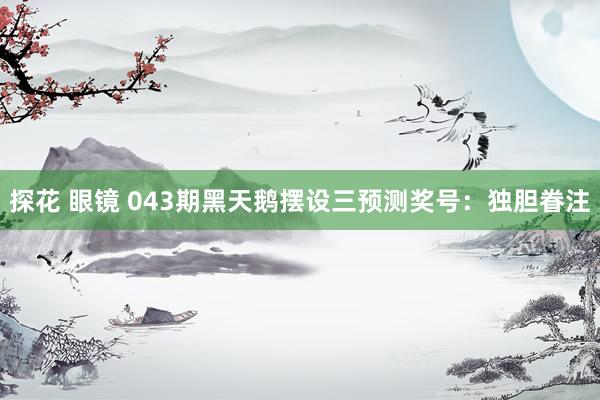 探花 眼镜 043期黑天鹅摆设三预测奖号：独胆眷注